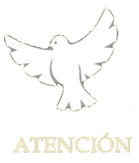 atencion2 atencion2
